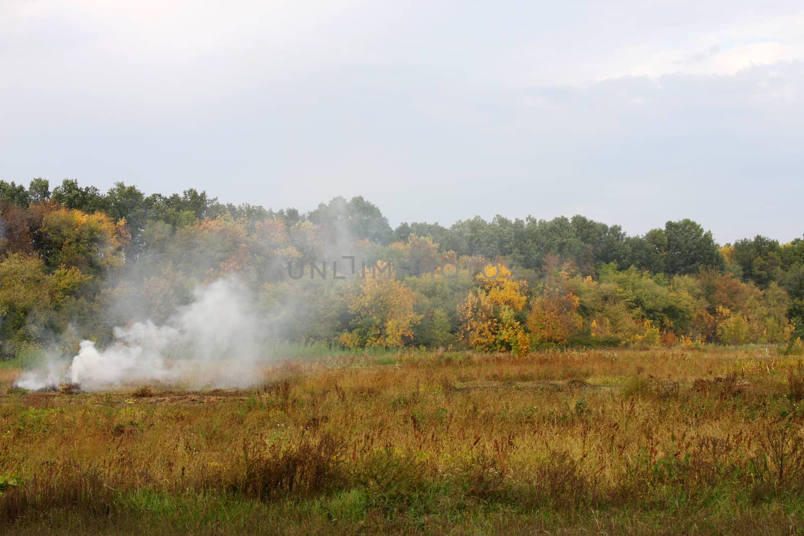 countryside landscape by romantiche