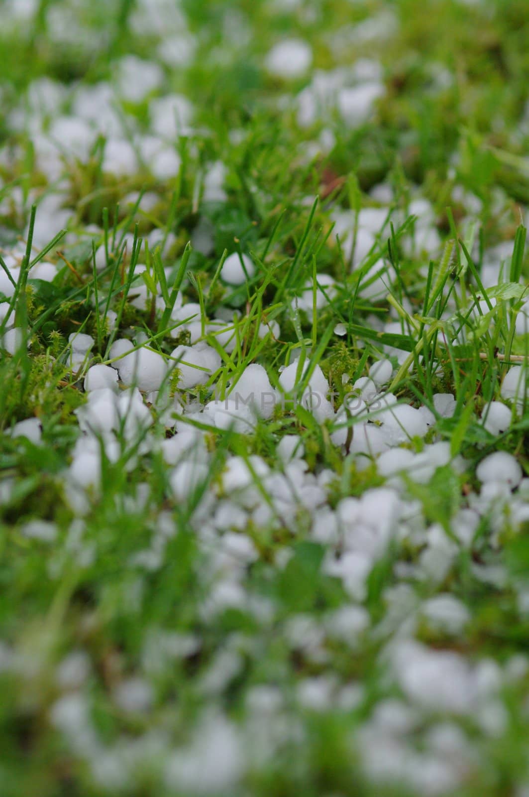 hail balls on the ground