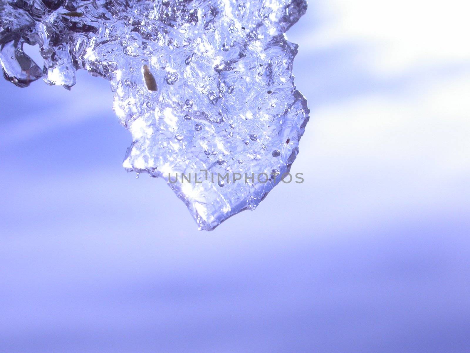 close-up of ice, very shallow DOF!