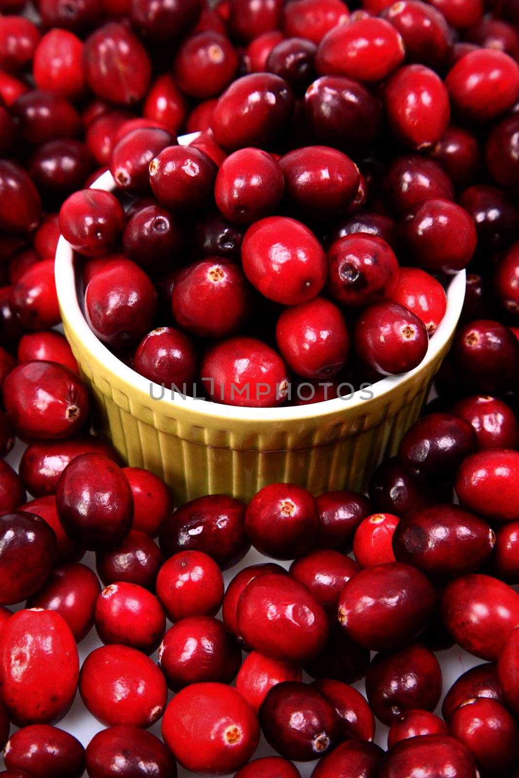 Pile of Fresh Raw Cranberries with Bowl