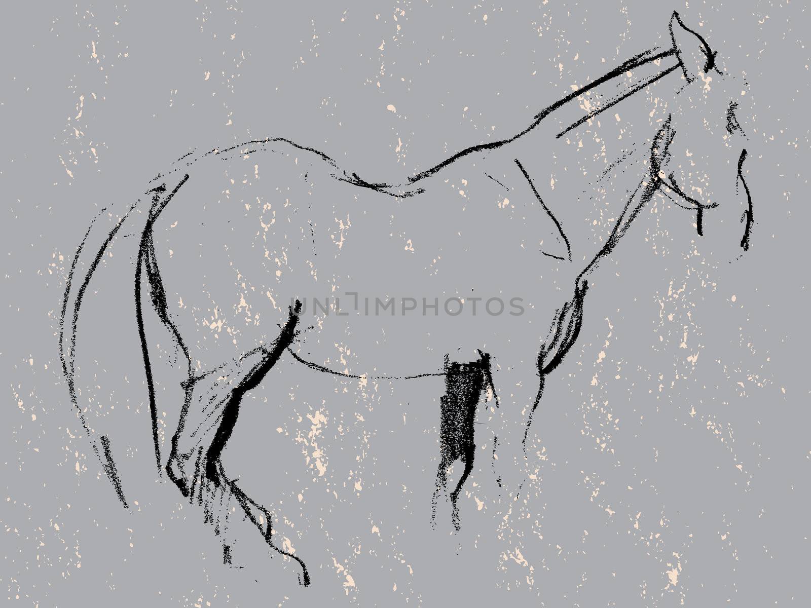 Hand drawn grunge illustration of a horse, charcoal sketch on stone