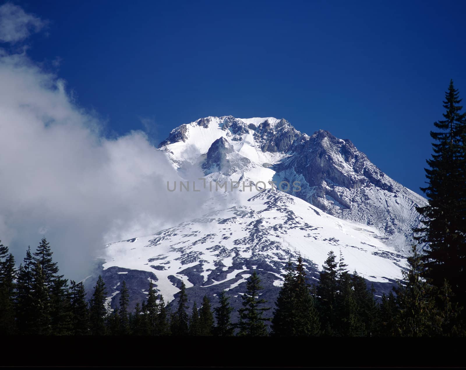Majestic snowy mountain peak in Oregon surrounded by green pine tree forest
