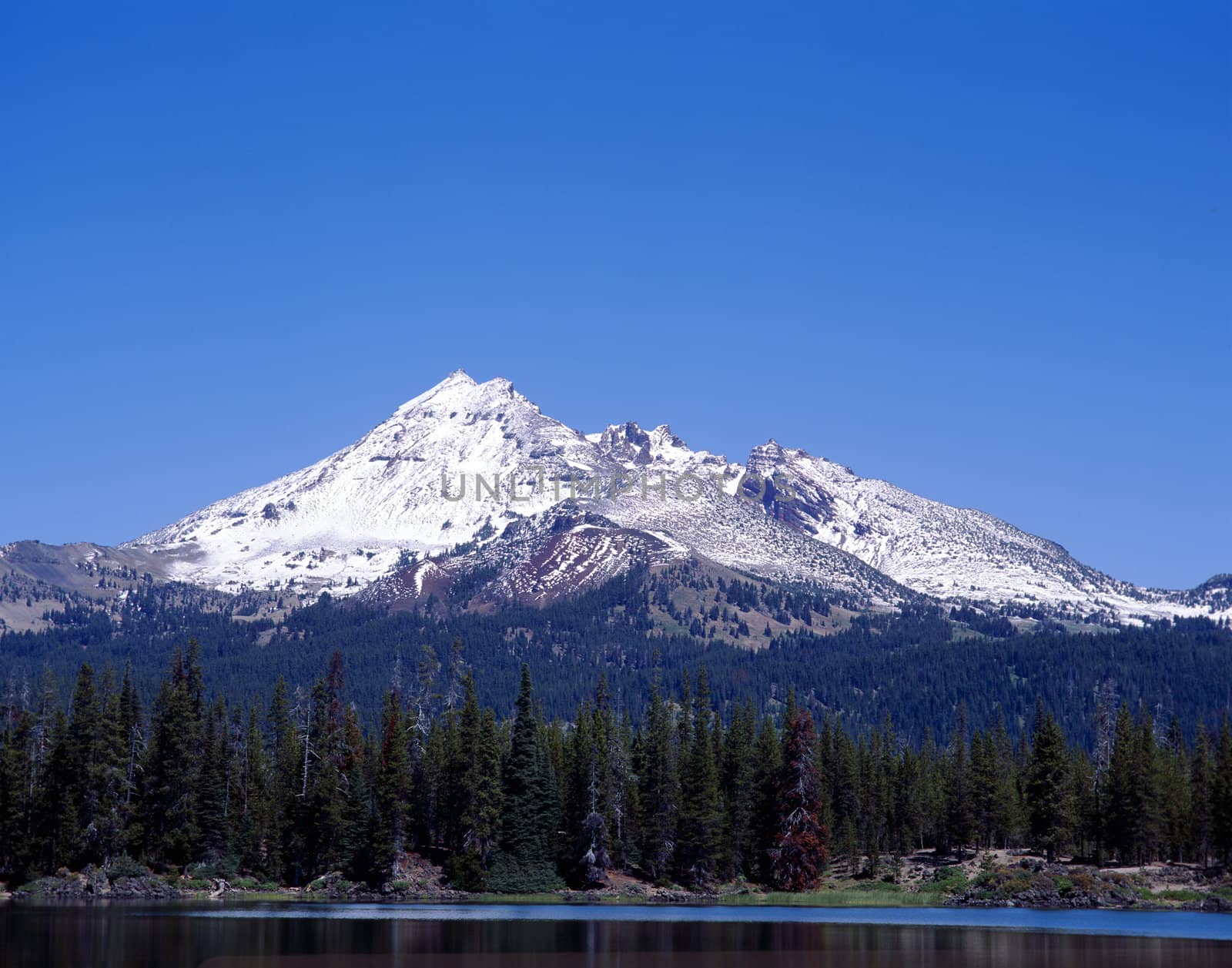 Snow covered mountain in the Cascades range next to a clear lake and pine tree forest