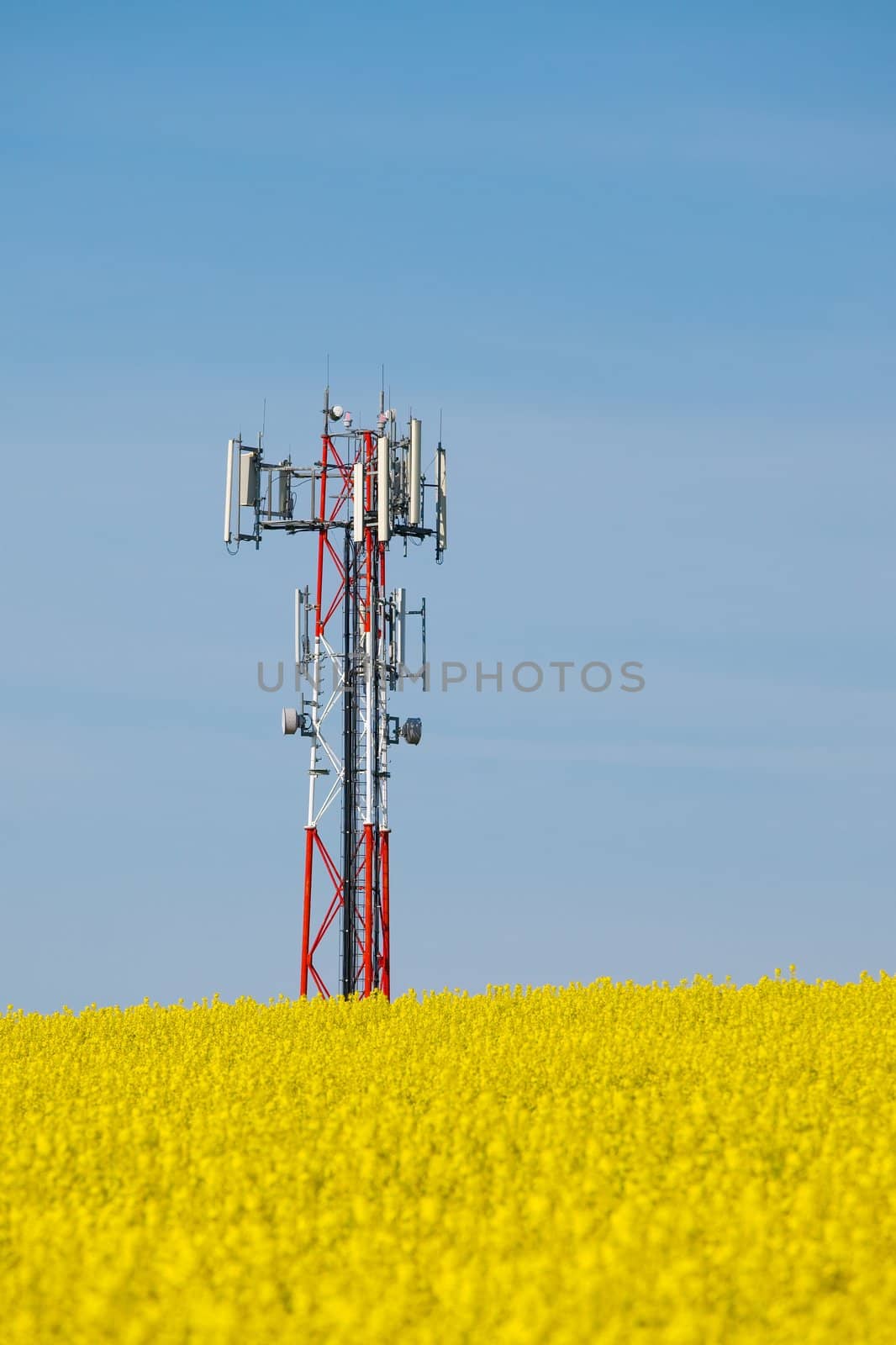 Signal transmitter tower over a blooming field
