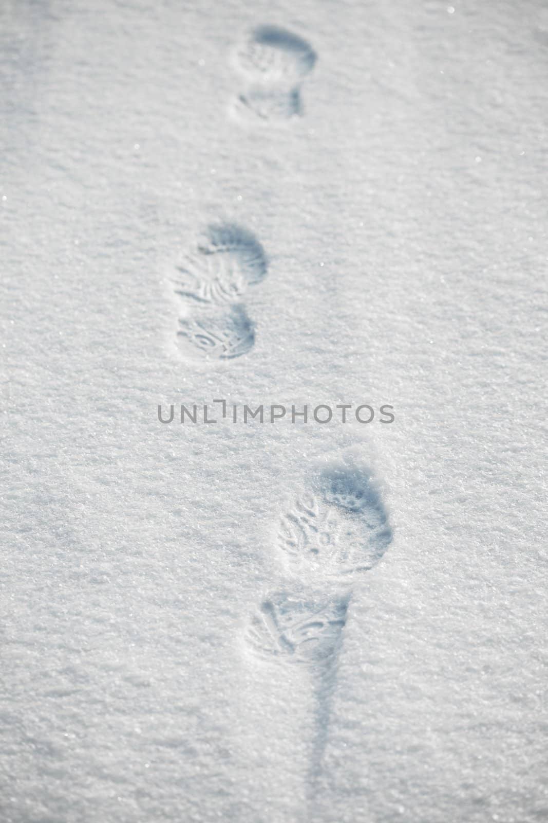 Footprints in the fresh snow