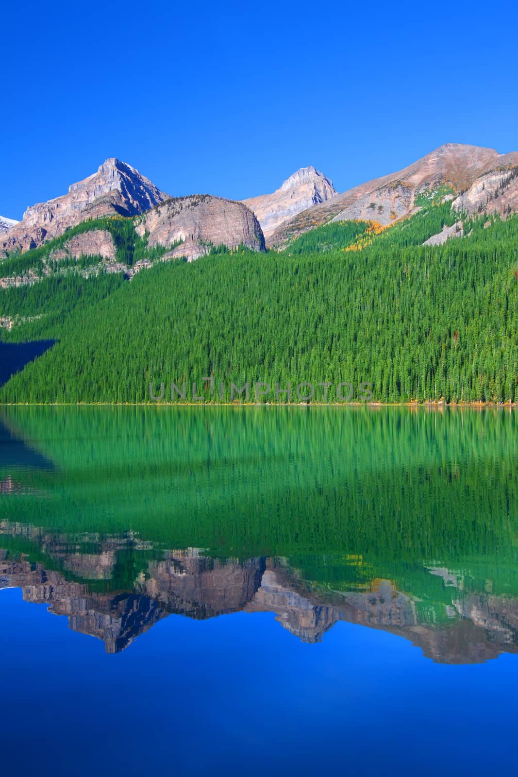 Treeline reflections on Lake Louise of Banff National Park in Canada.