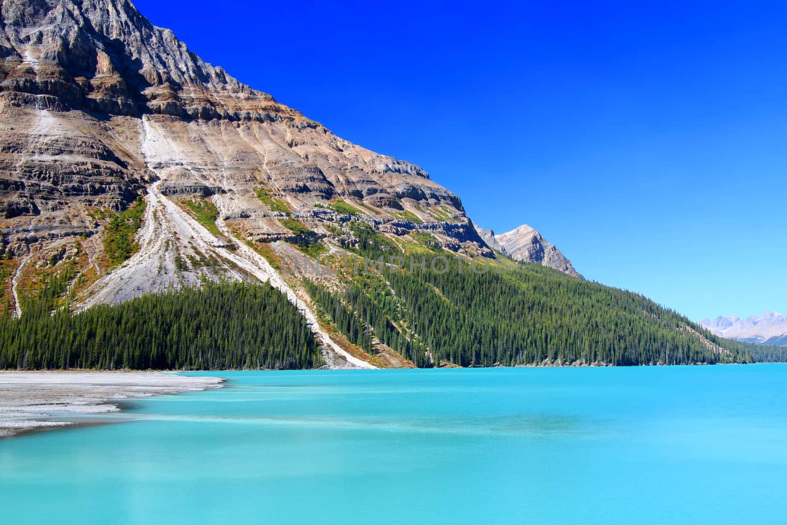 Peyto Lake in Banff Park by Wirepec
