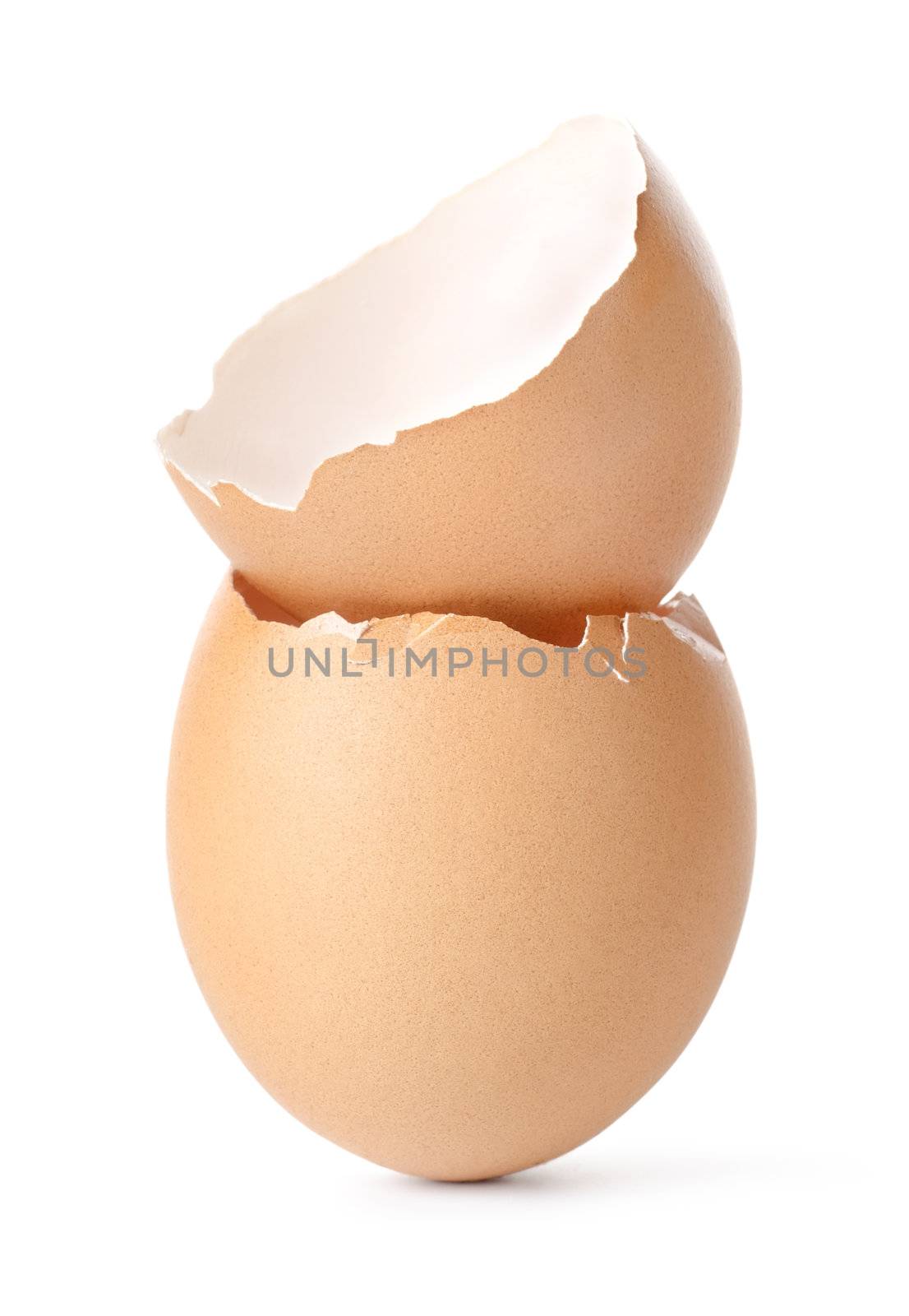 Empty egg shell isolated on a white background