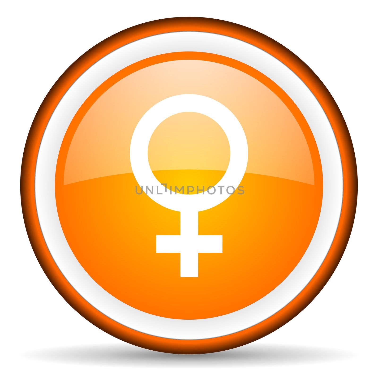 sex orange glossy circle icon on white background