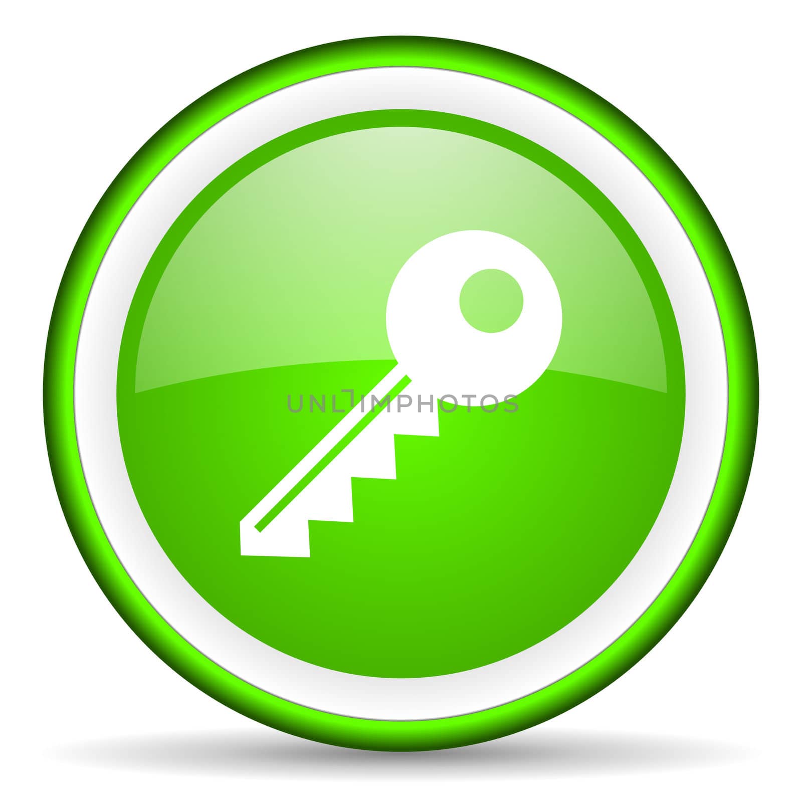 key green glossy icon on white background
