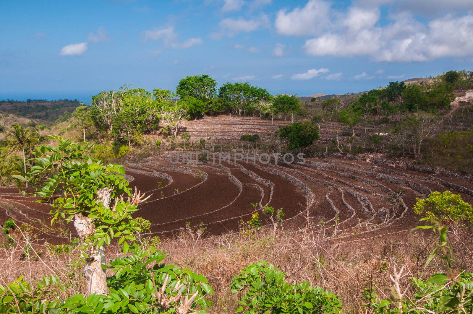Hillside with terraces on small island Nusa Penida, Indonesia