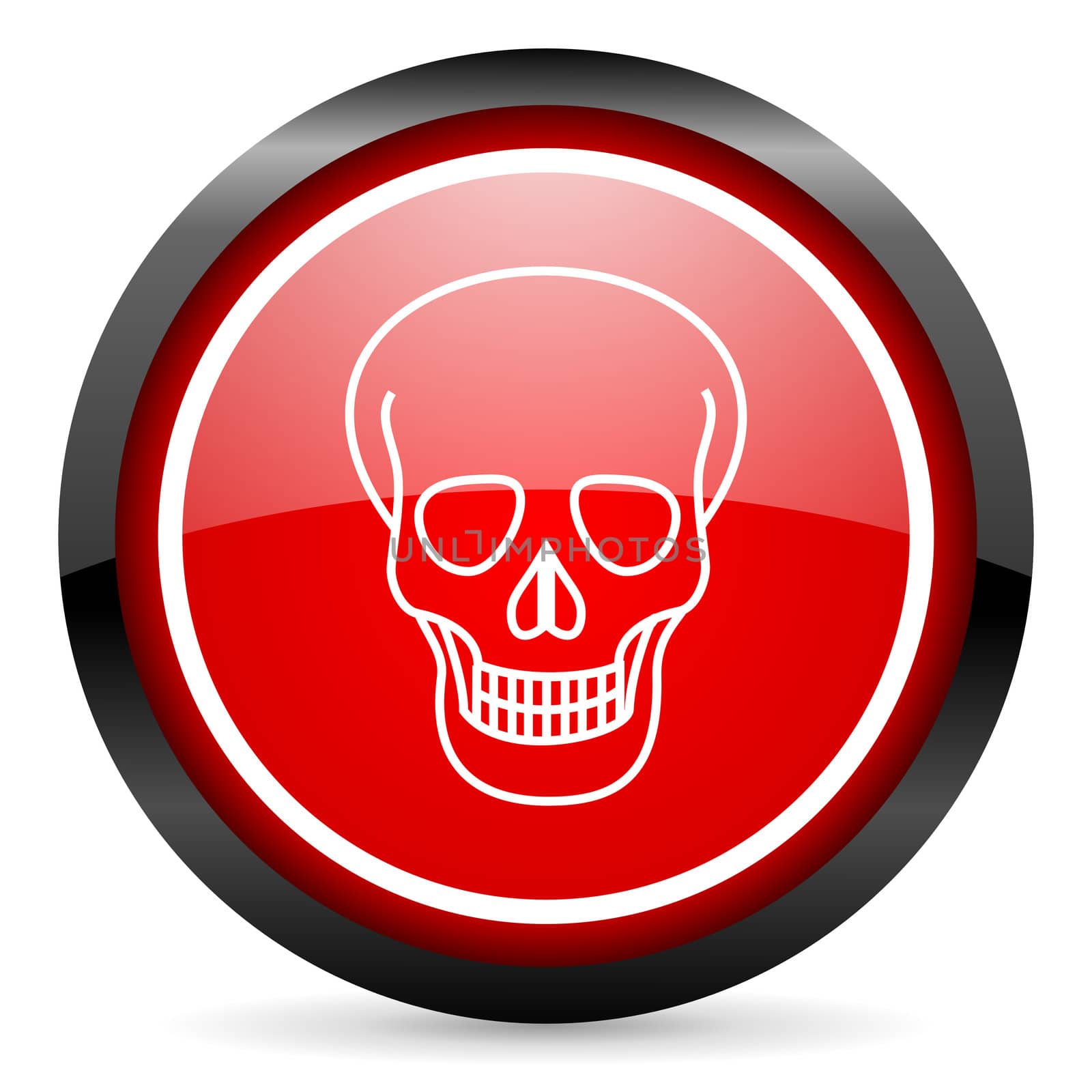 skull round red glossy icon on white background