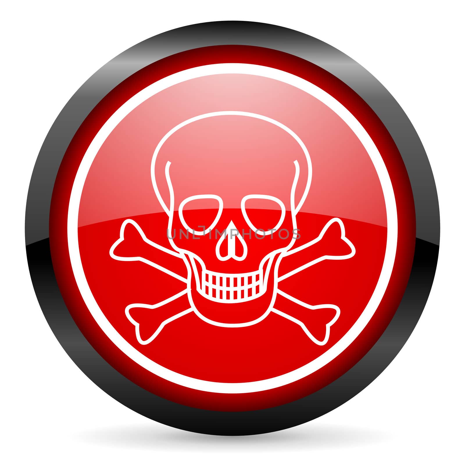 skull round red glossy icon on white background