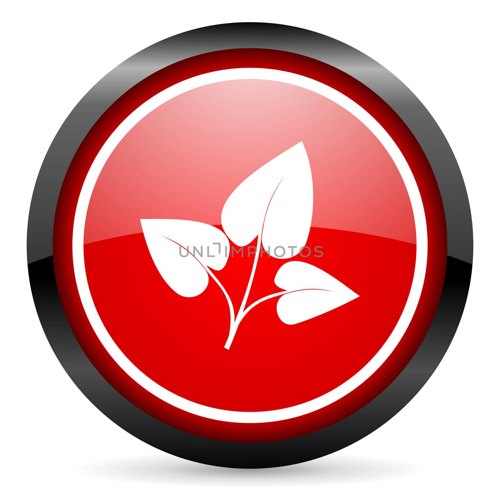 eco round red glossy icon on white background