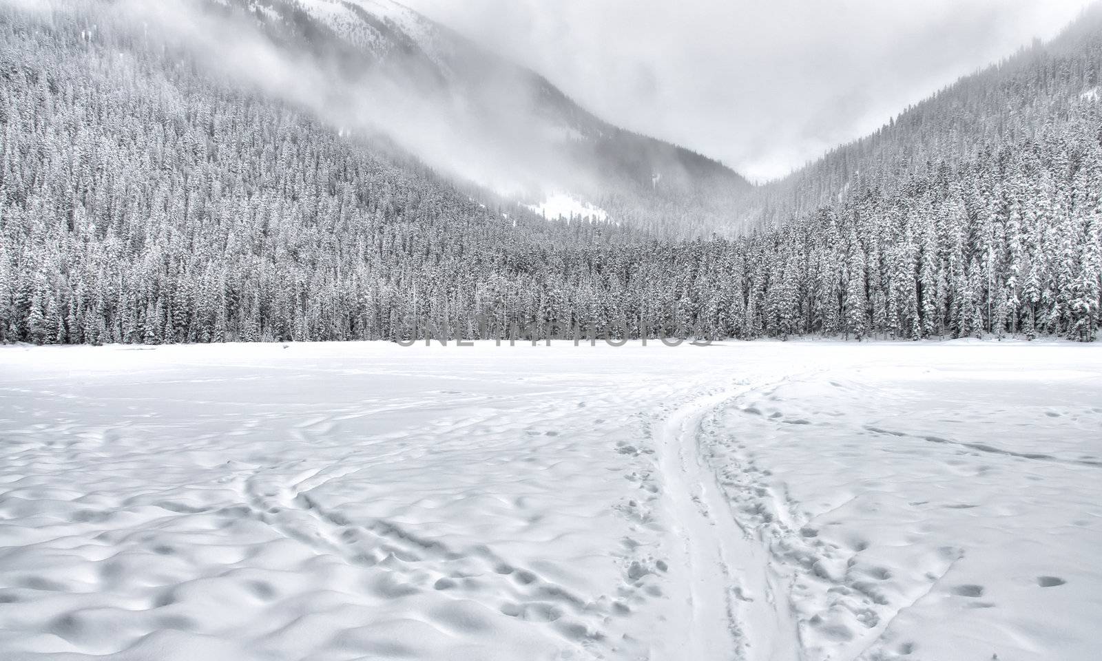 Frozen Lake with Sled Trail in Mountains by JamesWheeler