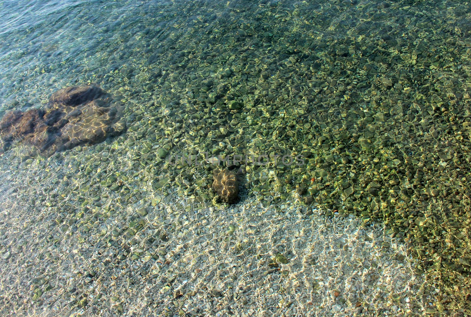 Clear Adriatic sea water