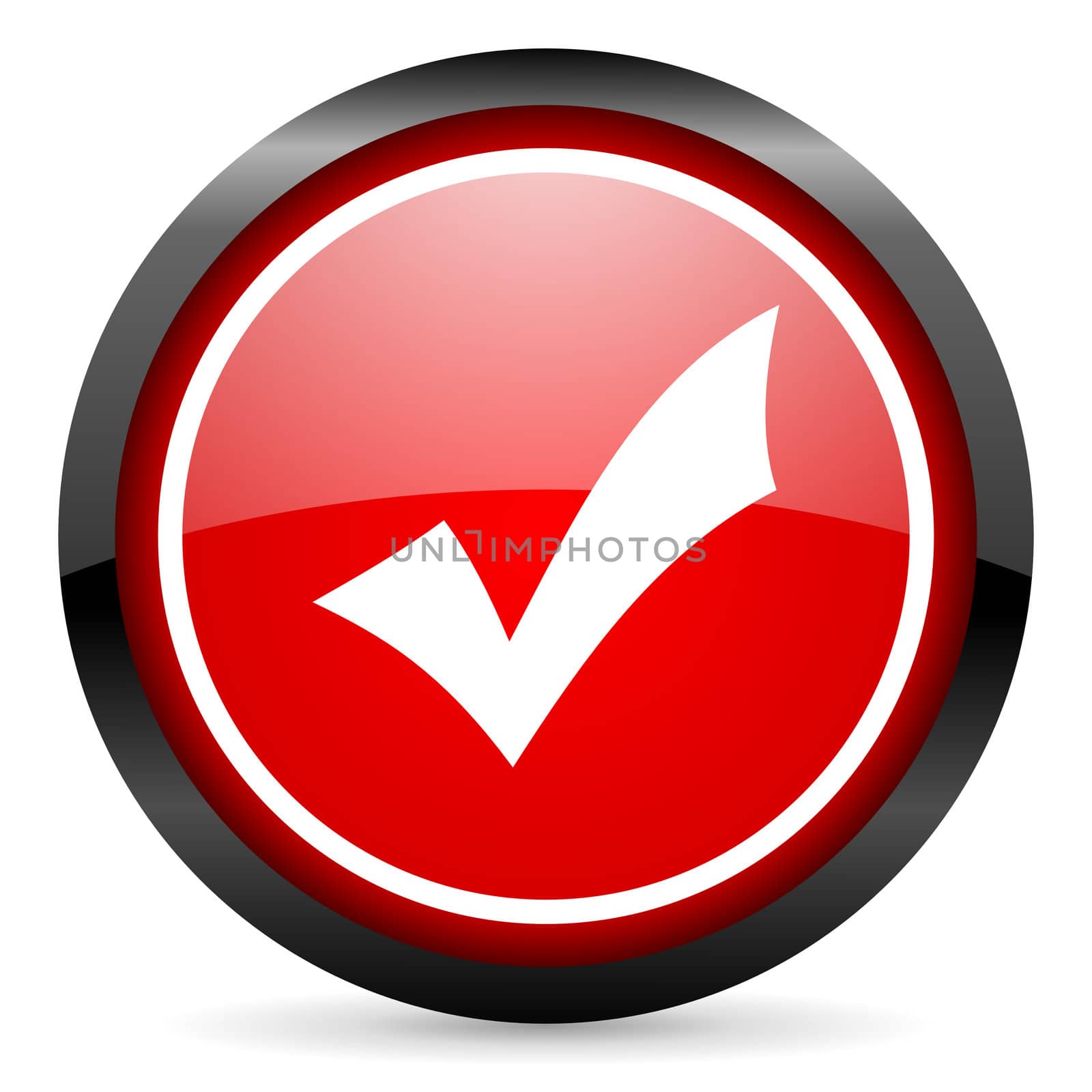 accept round red glossy icon on white background