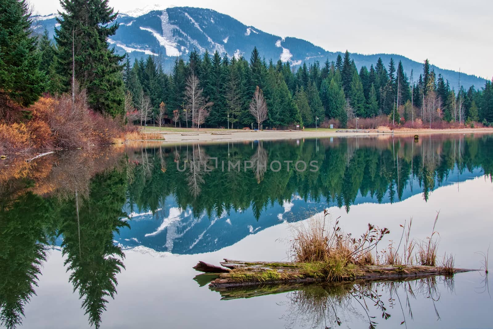 Whistler mountain looks so peaceful reflected in Lost Lake early in the morning.