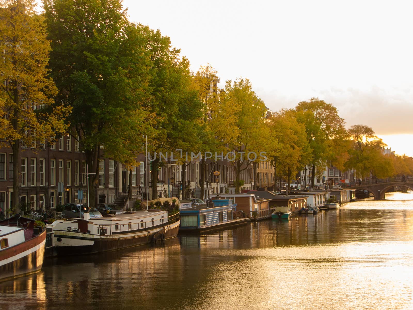 Amsterdam canal and boats with golden afternoon light