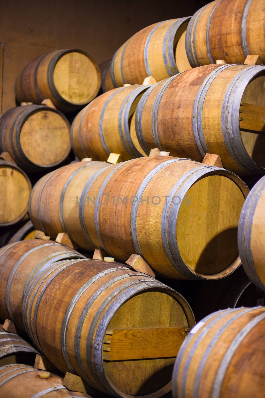 Barrels of South African wine by edan