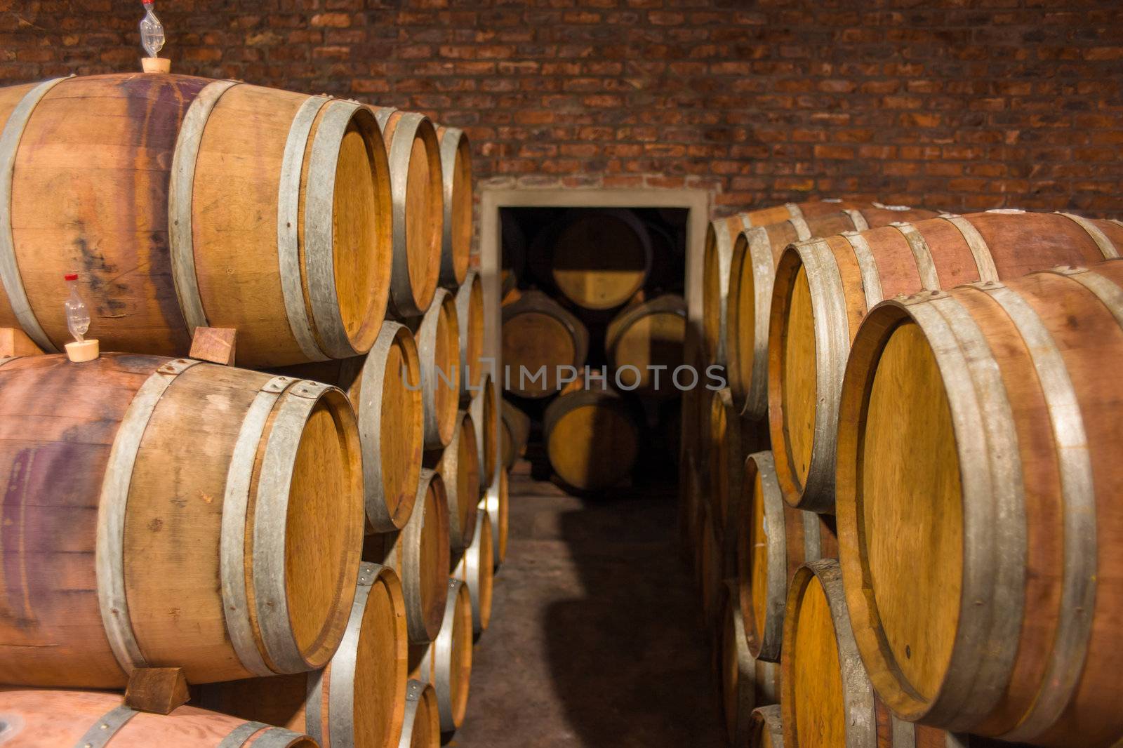 Barrels of South African wine in a wine cellar