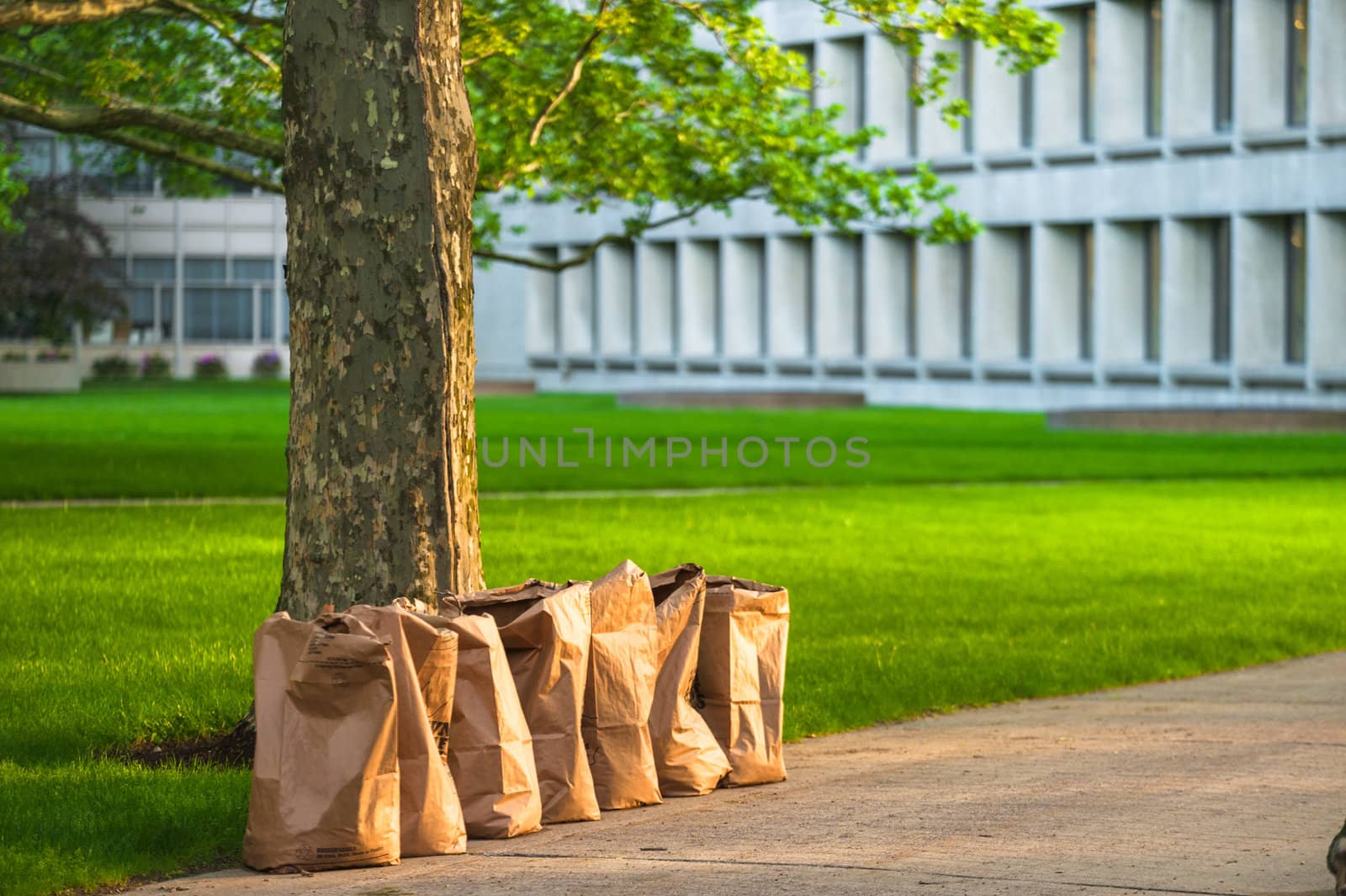 Row of recycling yard waste paper bags