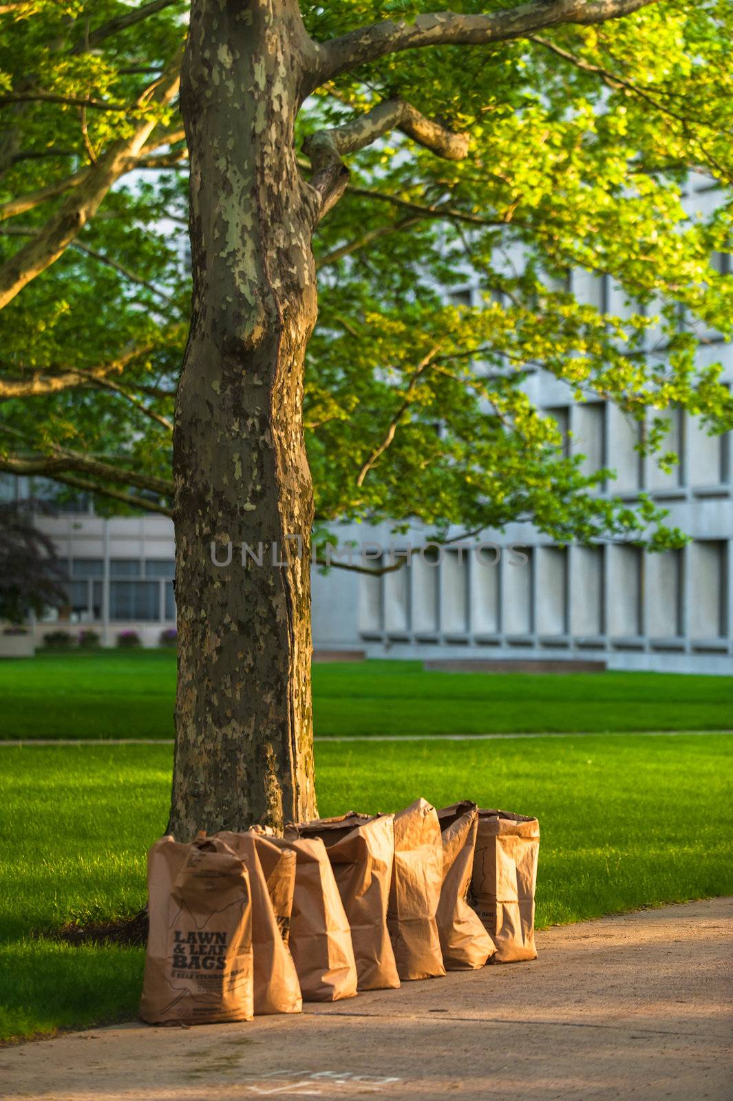 Row of recycling yard waste paper bags