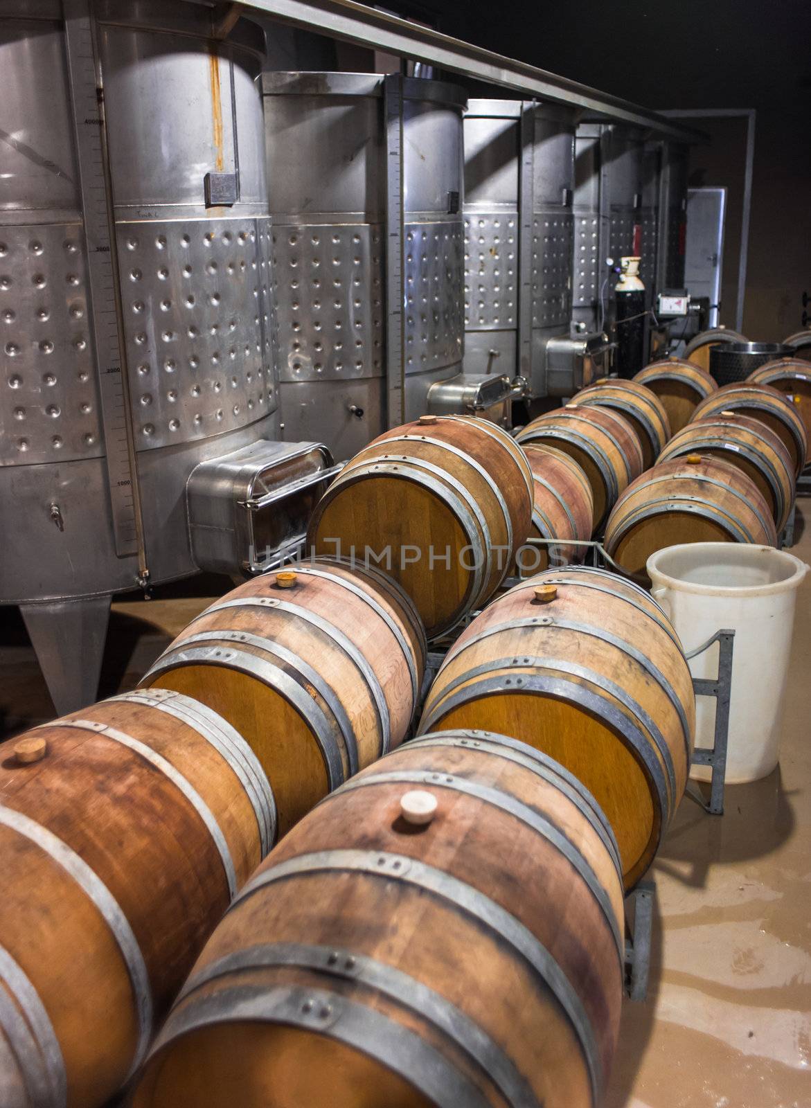 Barrels of South African wine by edan