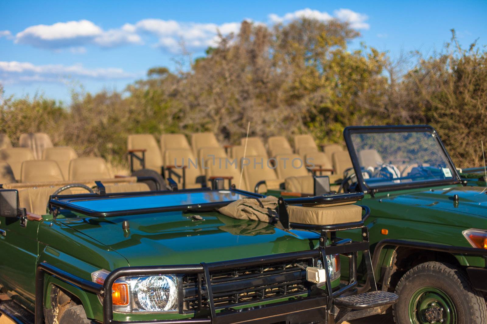 Open-topped safari vehicles ready for a game drive