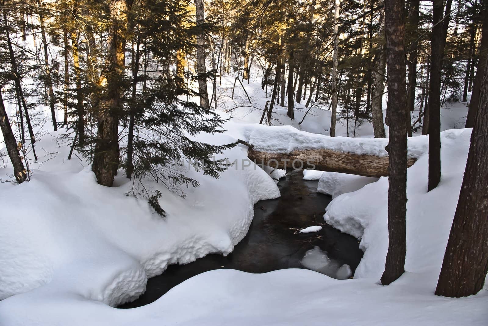 A tree has fallen in the snow covered forest over a winding stream.