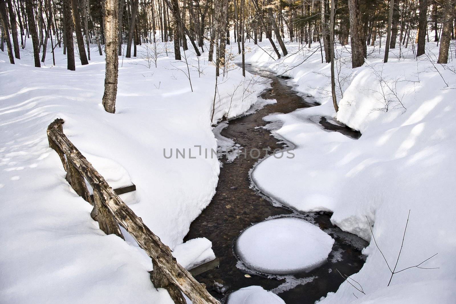 A morning winter stream in the forest covered in snow.