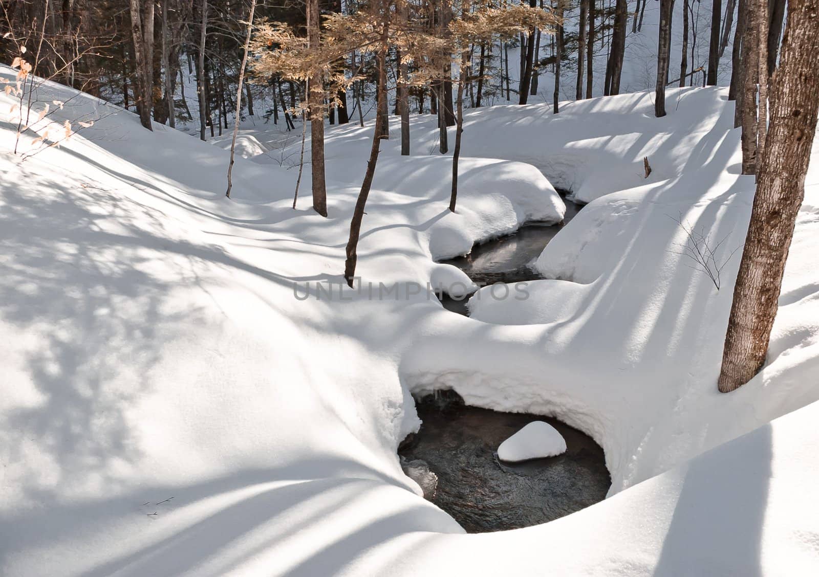 Winter scene in forest with snow, running creek and shadows.