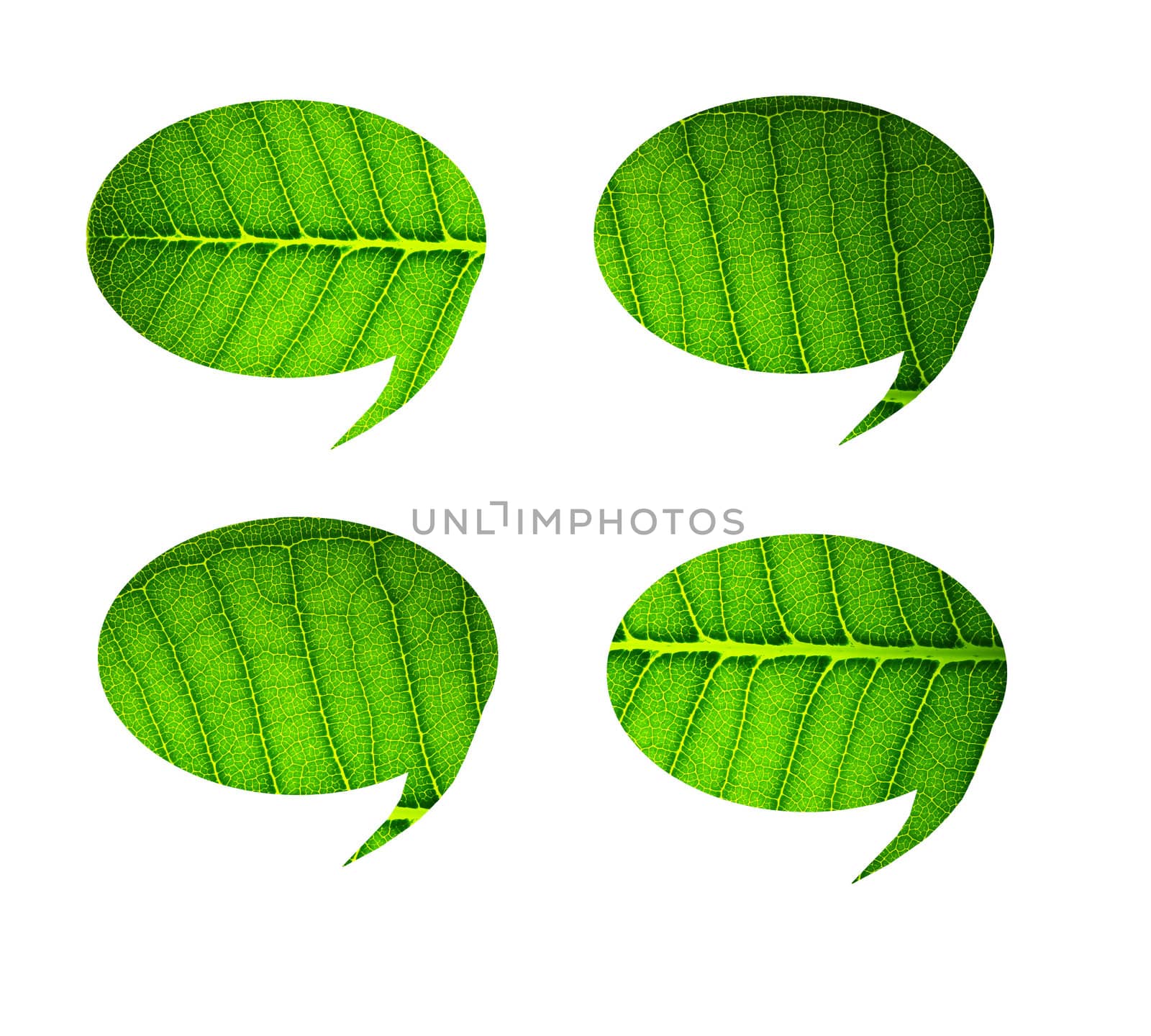 bubble talk tag green leaf on white background