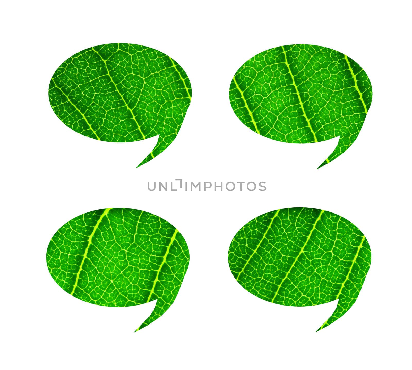 bubble talk tag green leaf on white background