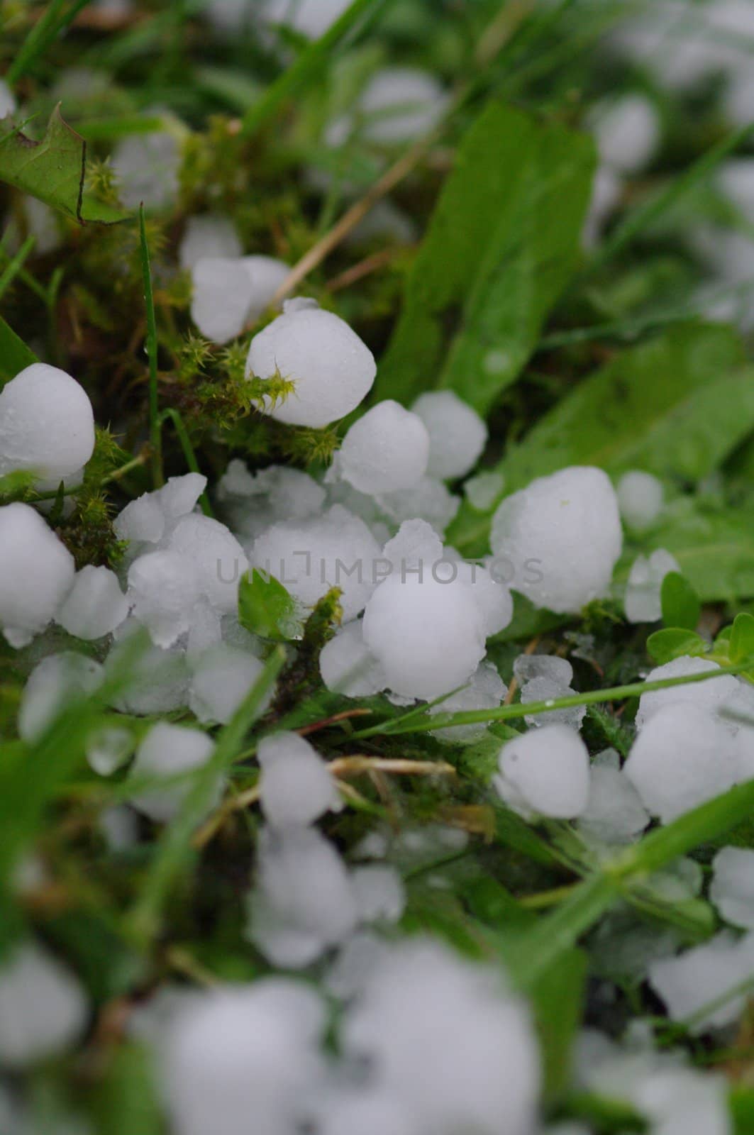 hail balls on the ground