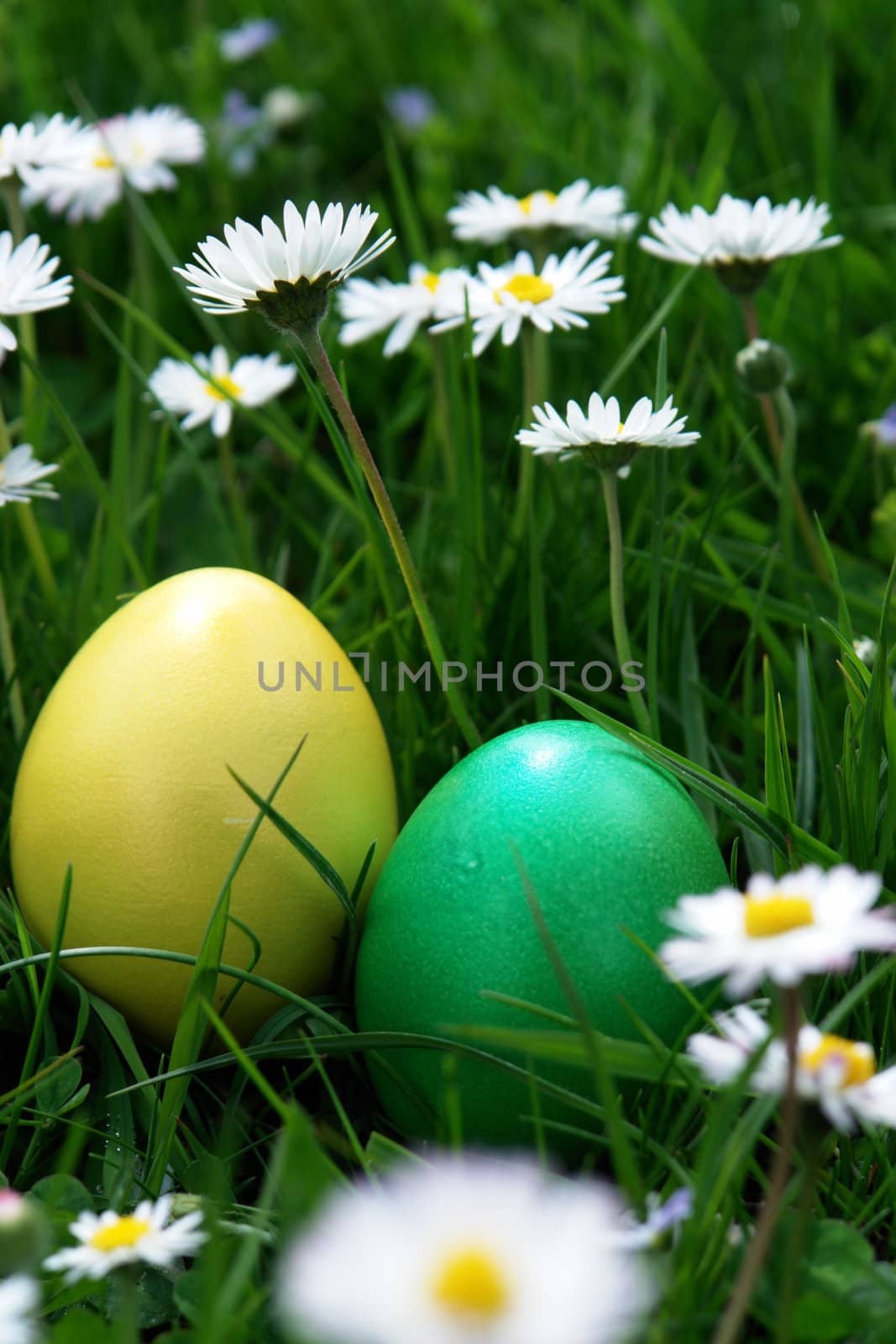 colorful Easter egg in the fresh  spring meadow