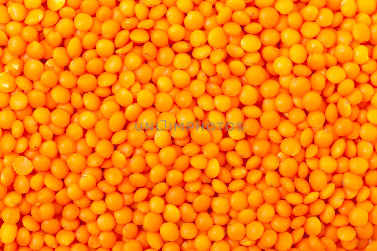 Backdrop of Orange Lentil, closeup