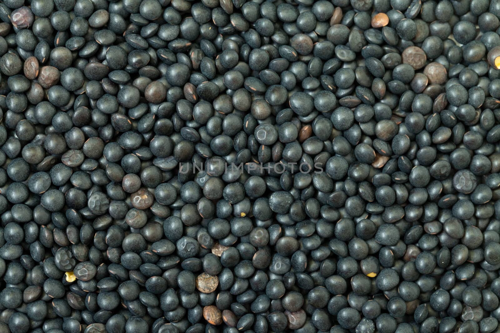 Backdrop of Black Lentil, closeup