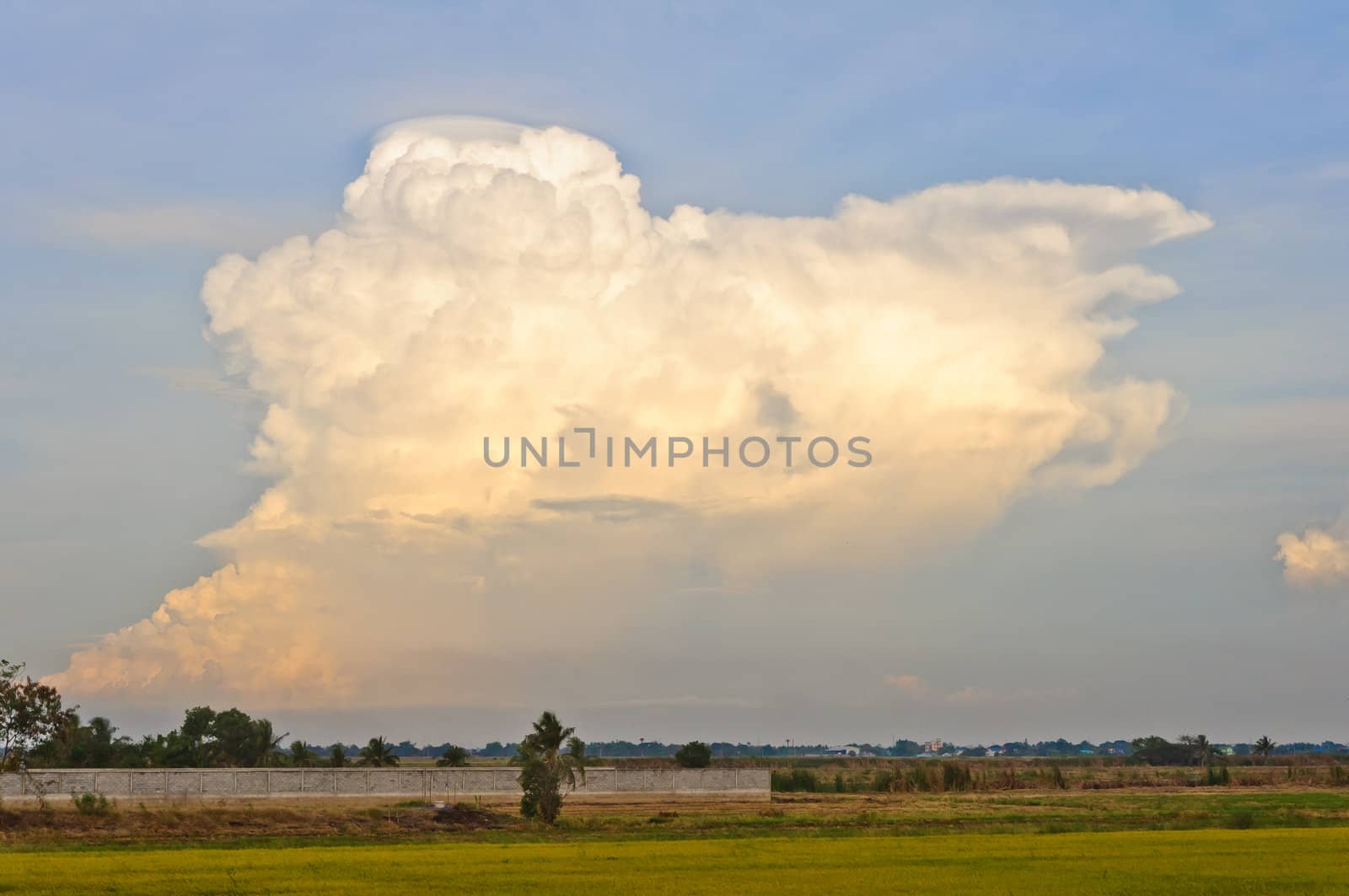 Beautiful green field and white clouds in blue sky background at Pathumtanee, Thailand