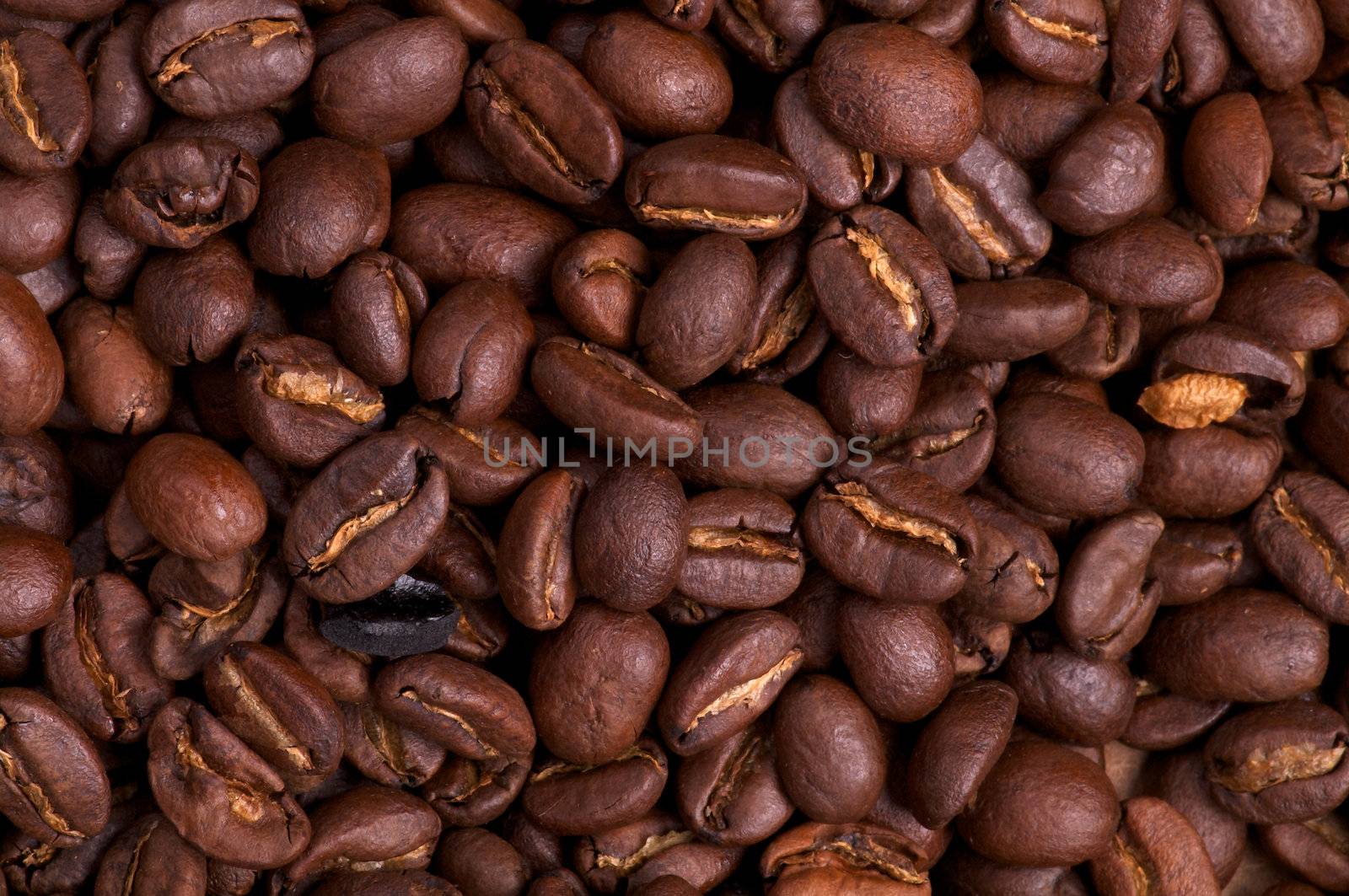 Background of Perfect Coffee Beans close up