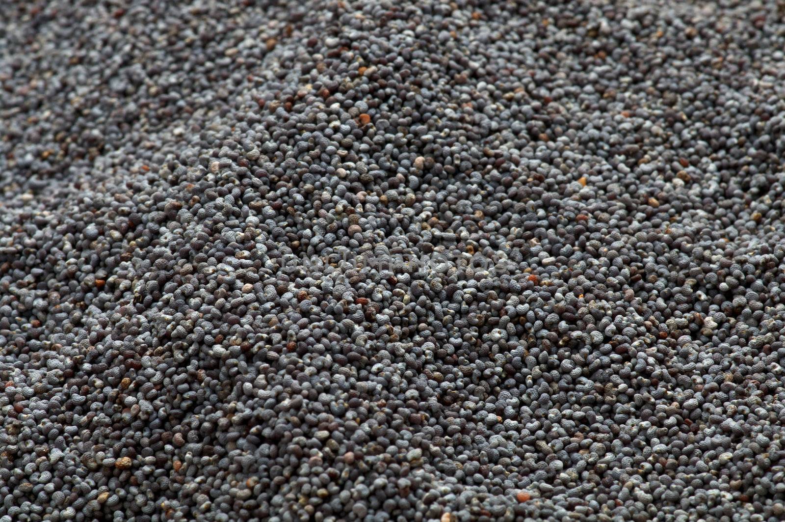 Background of Perfect Blue Poppy Seeds close up