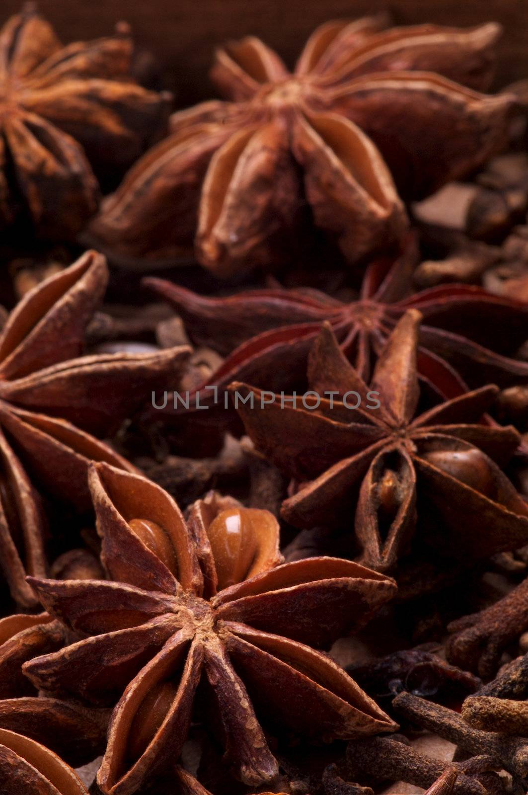Background of Anise Stars close up