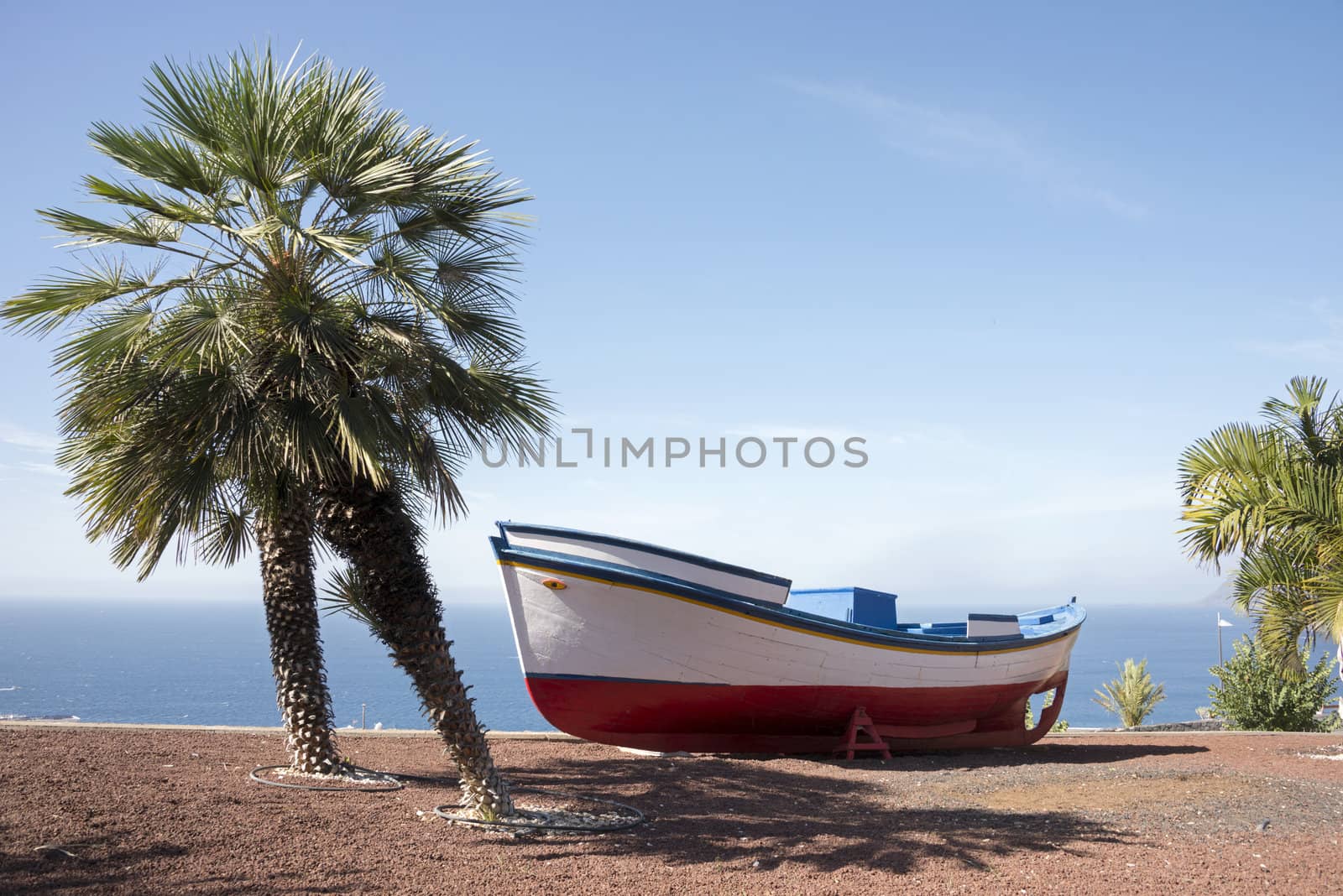 typical seane of a boat on the island tenerife