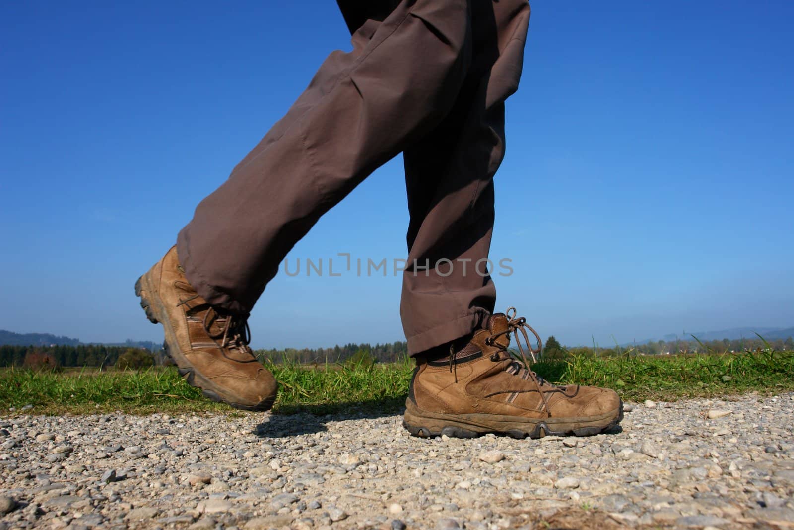 running legs on a path outside at a sunny day