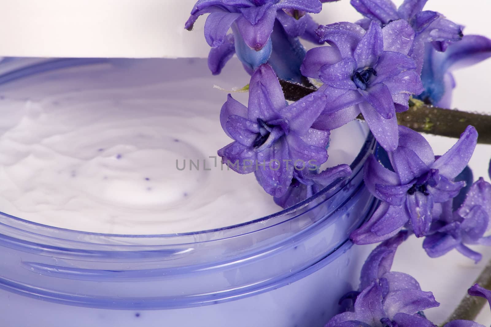 Cream in a box and a delicate hyacinth