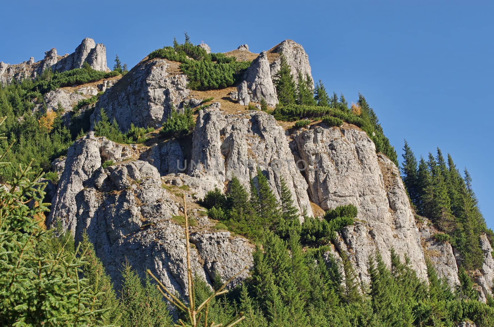 Stone mountain in Romanian Carpathians, summer view