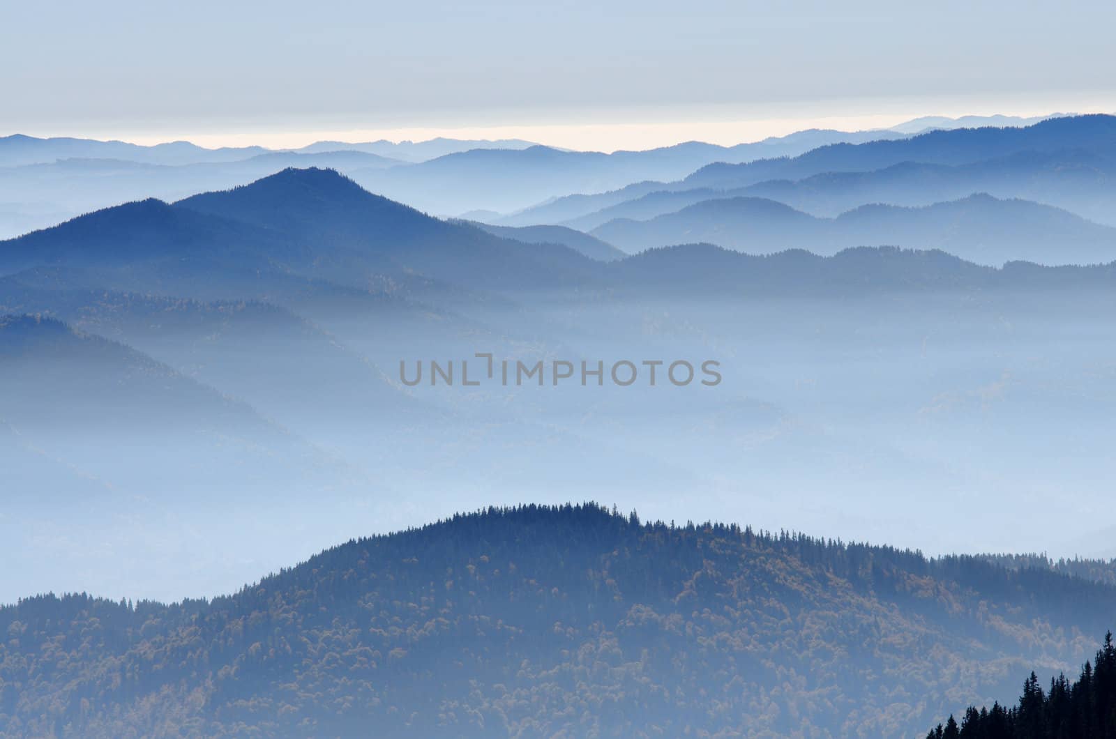 Forests and mountains in autumn