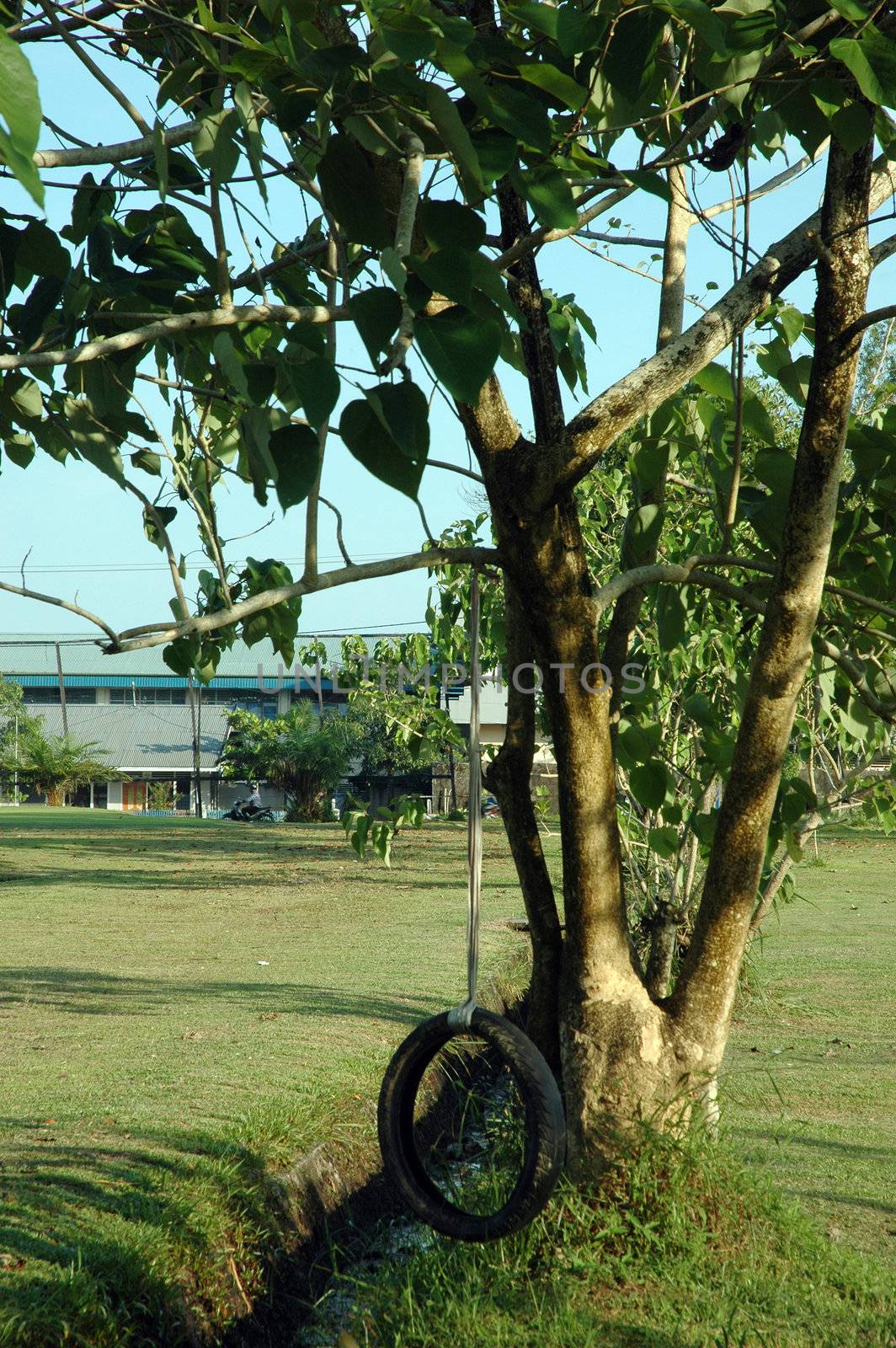 swing made from tires depends upon a tree