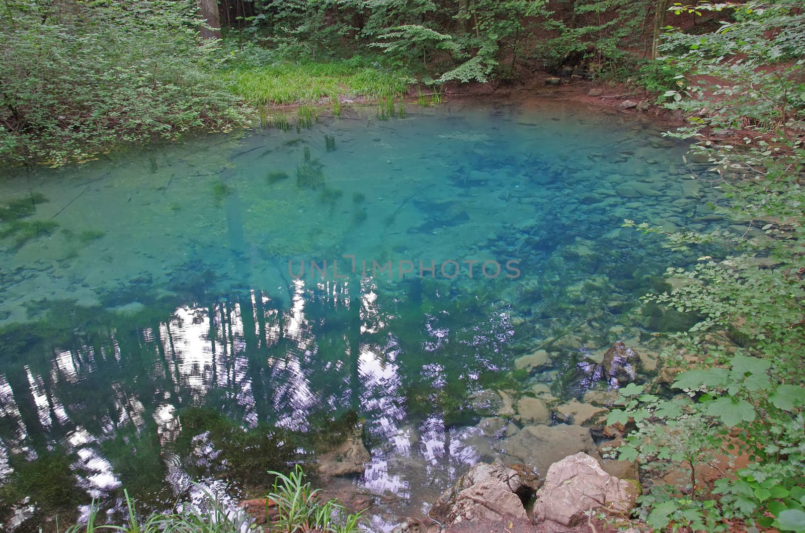 Blue lake in the forest (Beului lake in Nera gorges)