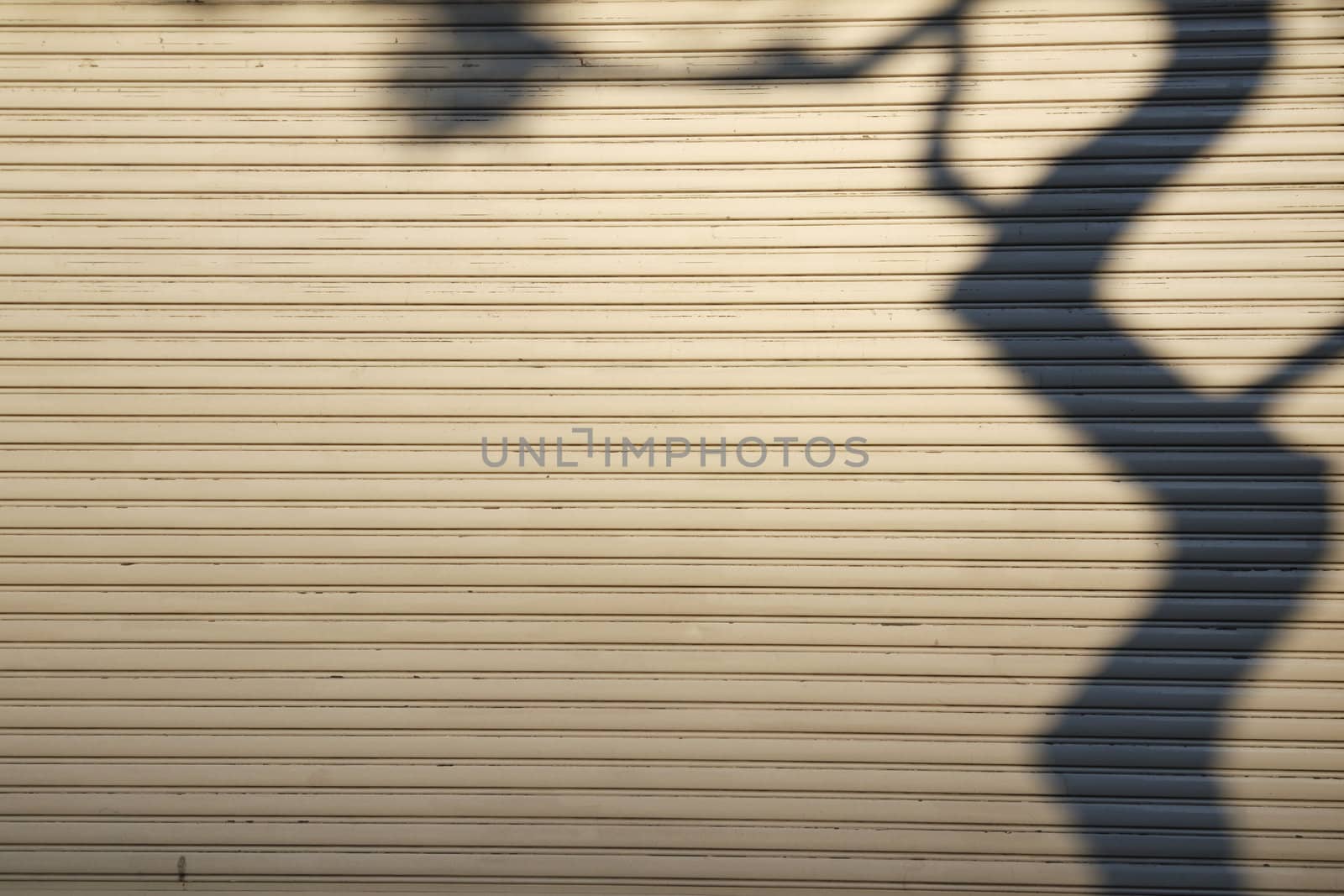scenic tree shadow made by evening sun on the louver wall background in Tokyo Japan